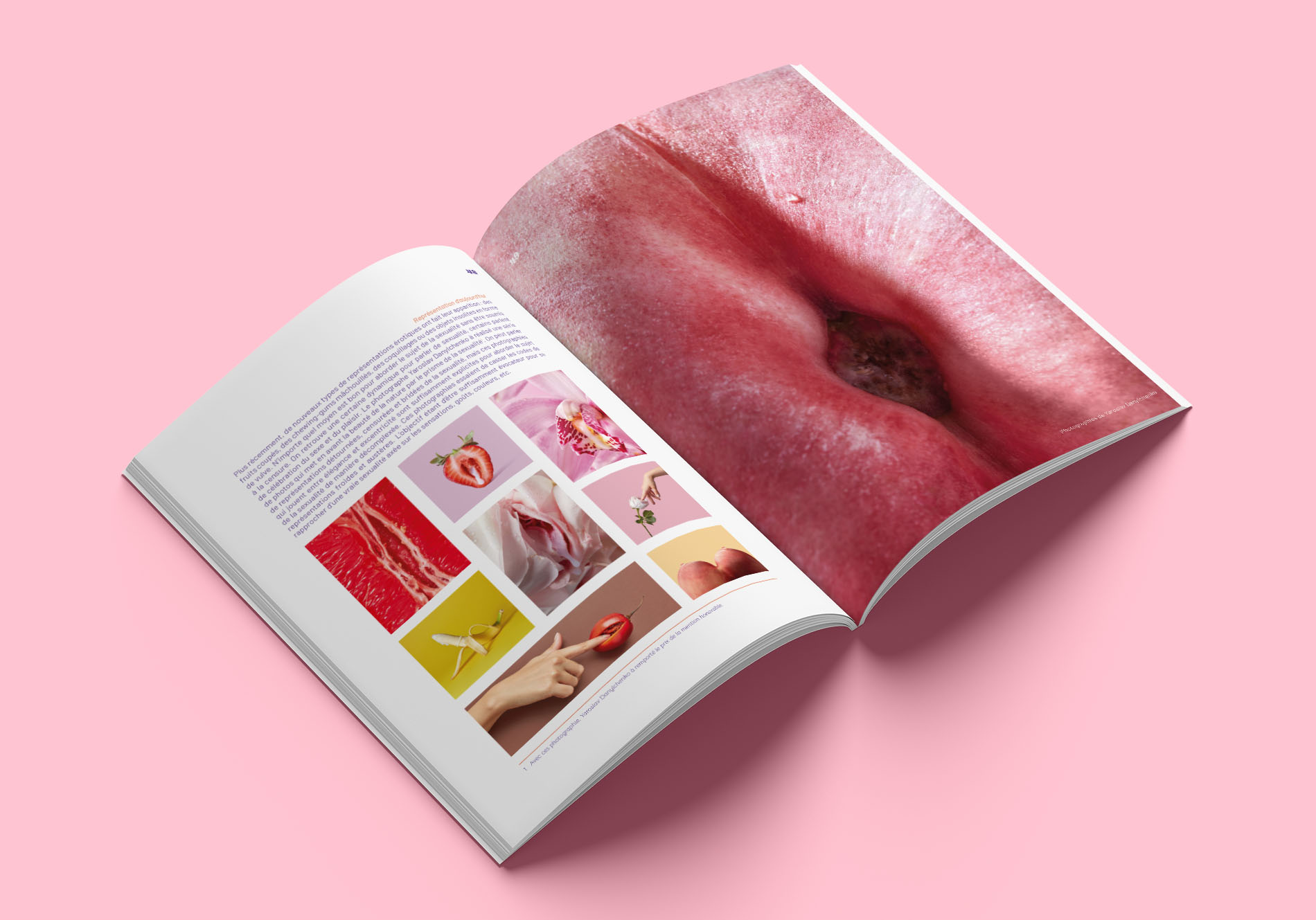 mockup_2,1