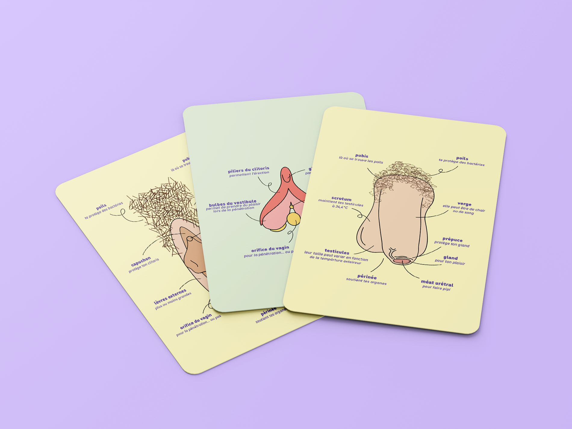 mockup_5,1
